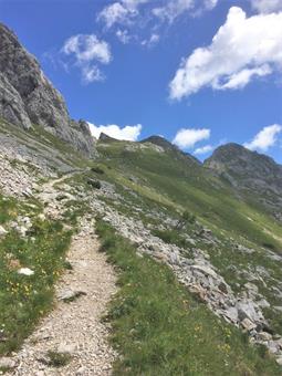Alcuni saliscendi portano infine al percorso segnalato diretto al Monte Lastroni.