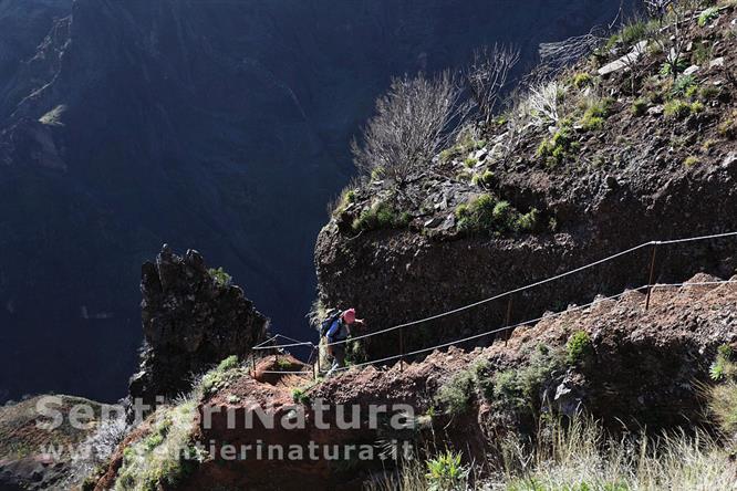 05-Ripida risalita sulle pendici del Pico das Torres