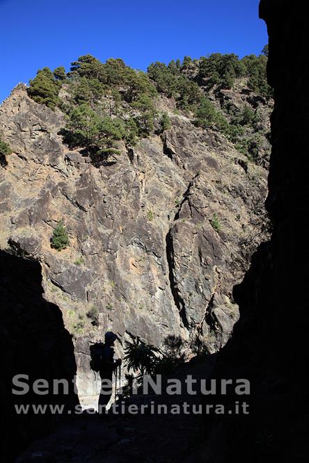 15-Pareti rocciose in una strettoia - Barranco de las Angustias