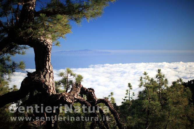 11-Il mare di nubi si addensa sulla parte orientale dell'isola - Pico de la Nieve