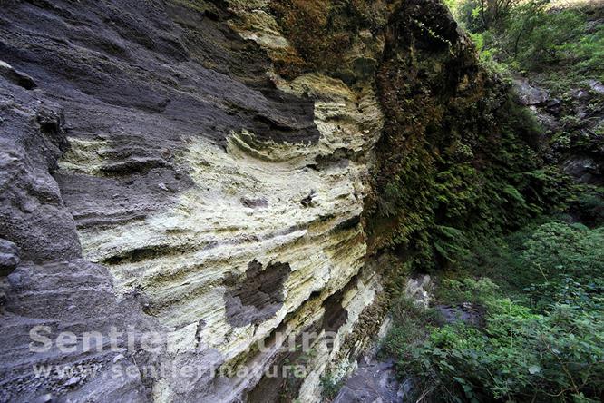01-Stratificazioni rocciose sulle pareti del barranco - Cubo de la Galga
