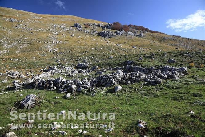 03-Pascolo sassoso all'imbocco della valle Inguagnera