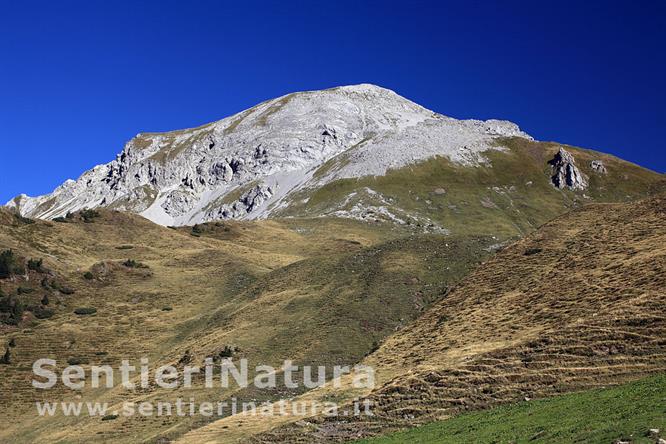 04-Il monte Polinik dalla Obere Spielboden Alm