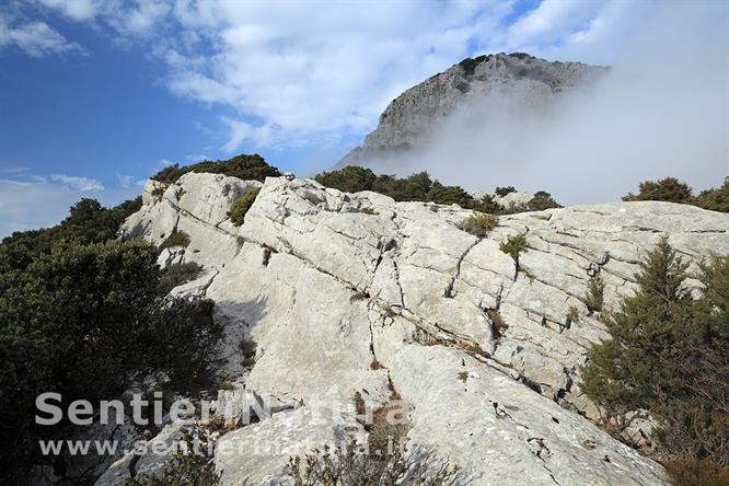 02-Banconata rocciosa sotto la cresta del monte Bardia