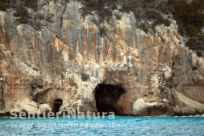15-Cavità lungo la costa viste dal battello che ci riporta a Cala Gonone