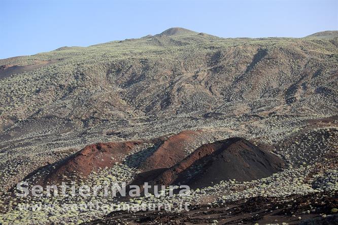 01-Piccoli coni vulcanici nel sud-ovest di El Hierro