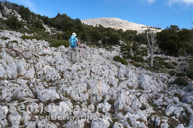 03-I caratteristici affioramenti rocciosi del monte Bulgheria