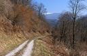 30-La pista forestale che da Certegna scende verso il Natisone