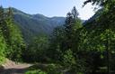 03-La pista forestale che scende nel vallone del torrente Novarza