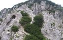 04-La Creta di Ponte di Muro dalla forcella Alta di Ponte di Muro