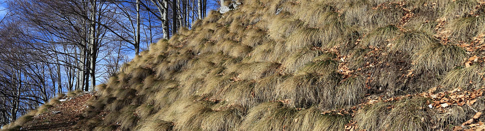 Praterie in aspetto invernale sulle pendici del monte Caal