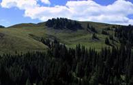 Bistrizza (sella) - panorama parziale