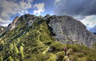 Monte Crostis dalla Val Alba